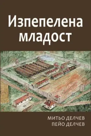 Изпепелена младост
